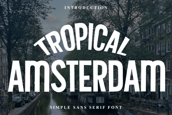 Tropical Amsterdam: The Festive Display Font for Engaging Web Design